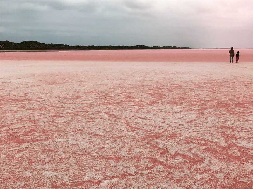 Pink Lake Buggy Tours, Kalbarri, WA