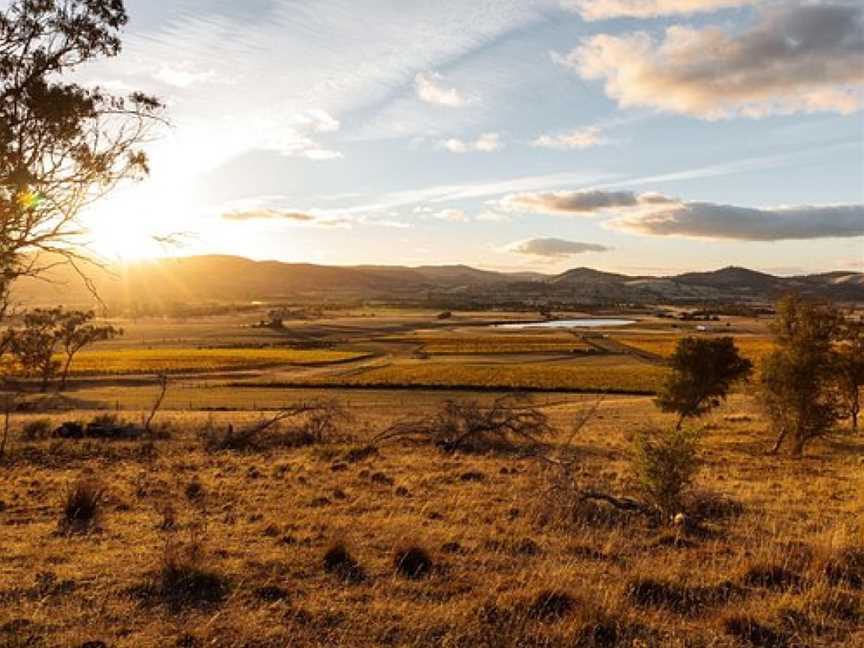 Nocton Vineyard, Richmond, TAS