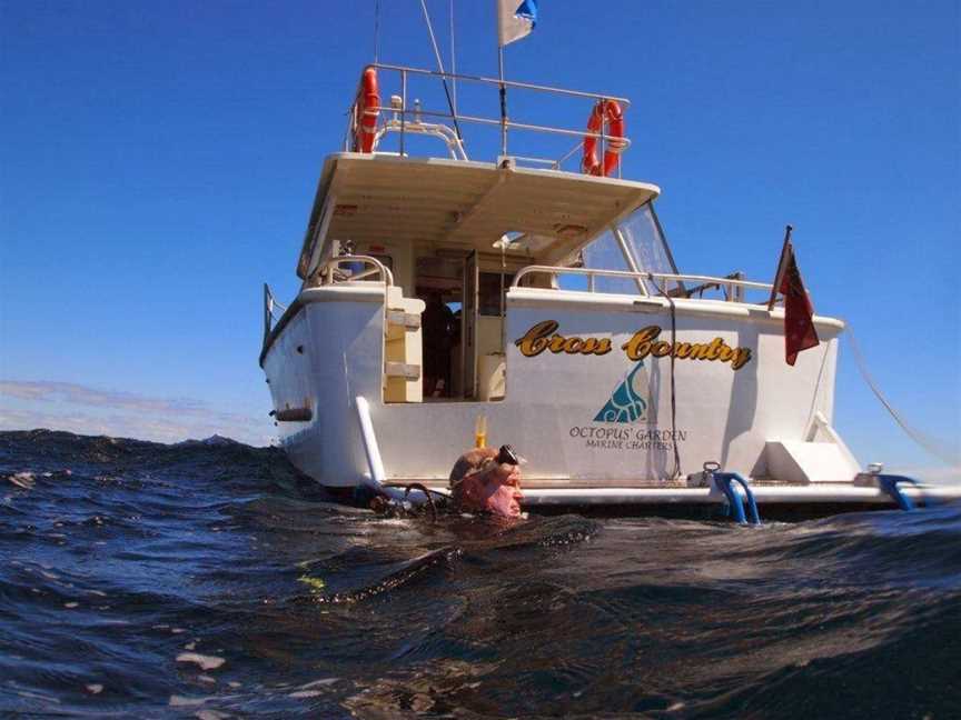 Octopus Garden Marine Charters Day Tours, Bunbury, WA