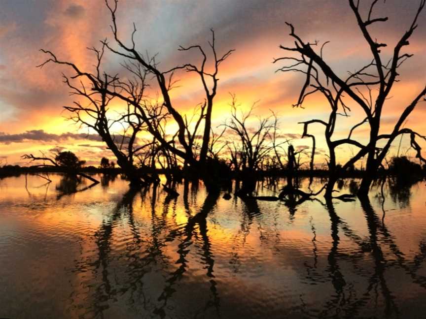 River Lady Tours, Menindee, NSW