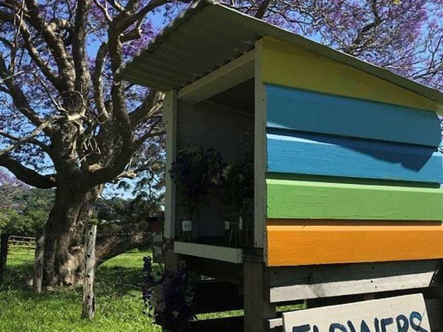 Table Under a Tree, Byron Shire, NSW