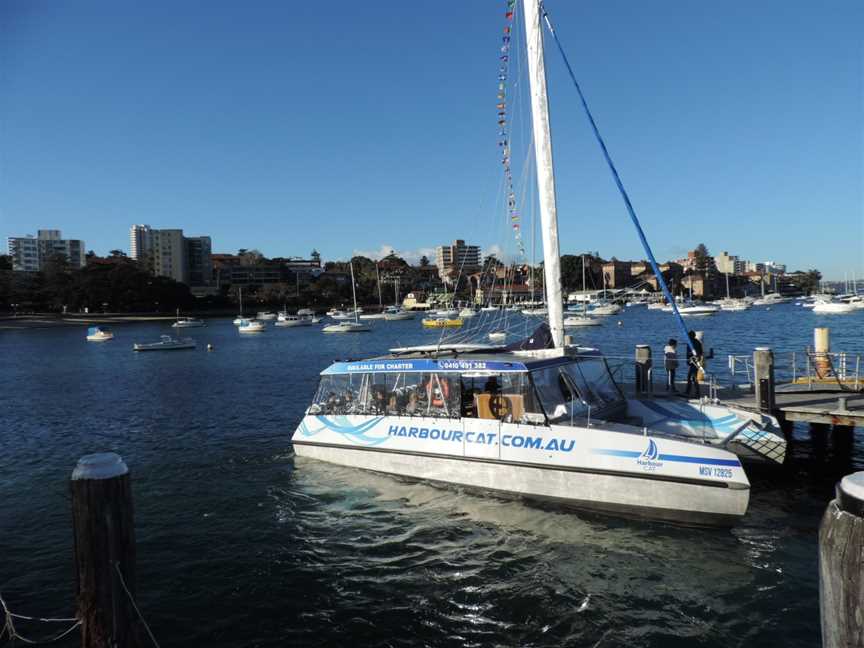 Harbourcat, Manly, NSW