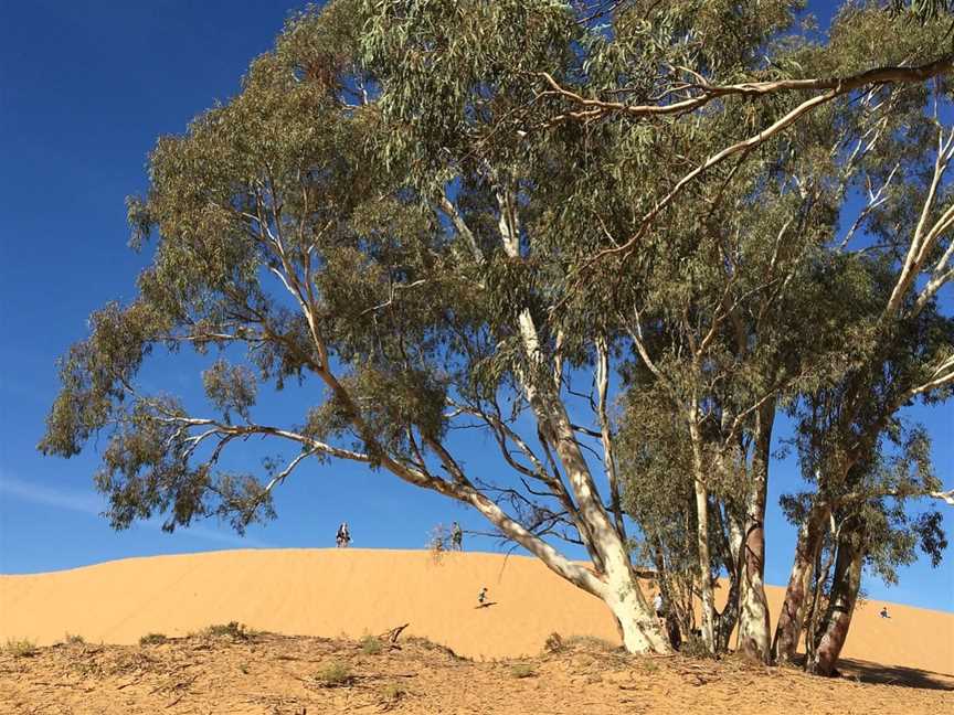 Murray Offroad Adventures, Mildura, VIC