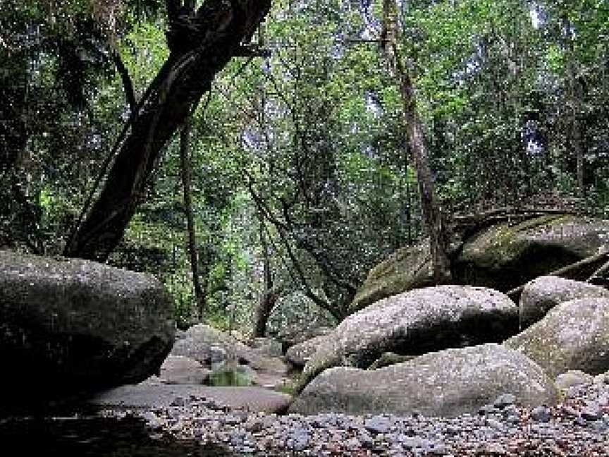 Mason's Tours, Cape Tribulation, QLD