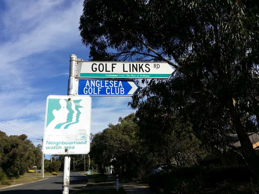 Kangaroo Viewing Tours Anglesea, Anglesea, VIC