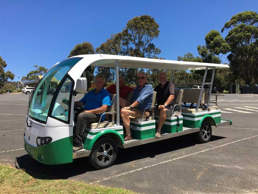 Kangaroo Viewing Tours Anglesea, Anglesea, VIC