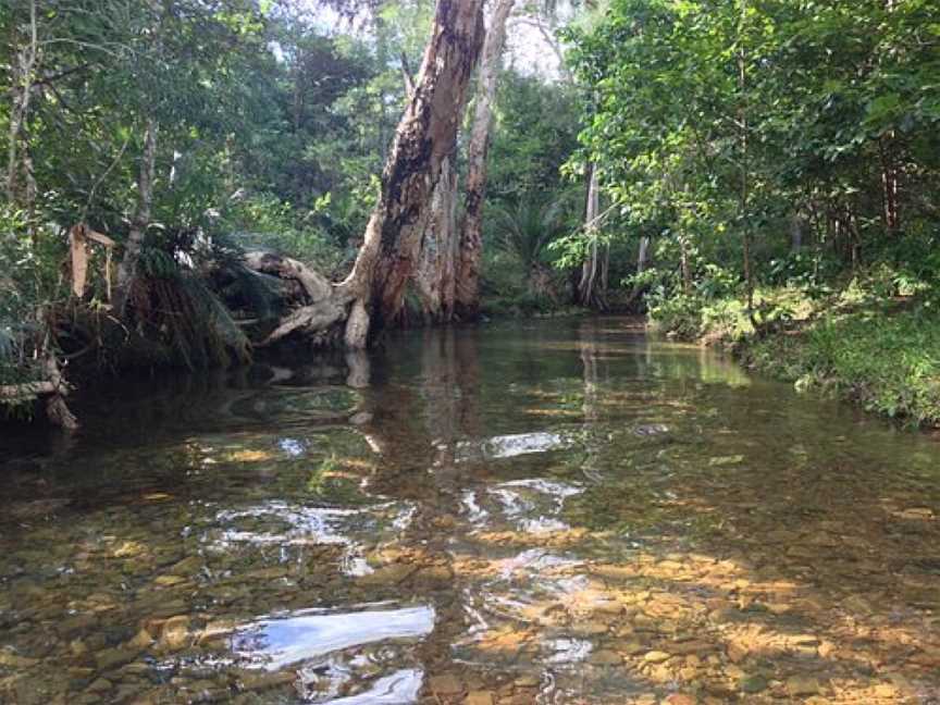 Waterpark Farm, Byfield, QLD