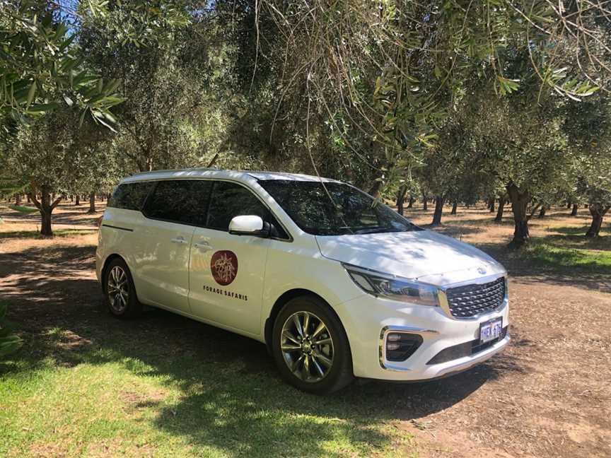 Forage Safaris, Busselton, WA