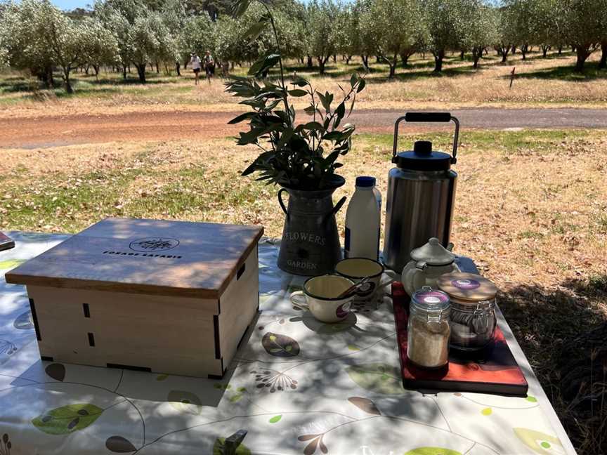 Forage Safaris, Busselton, WA