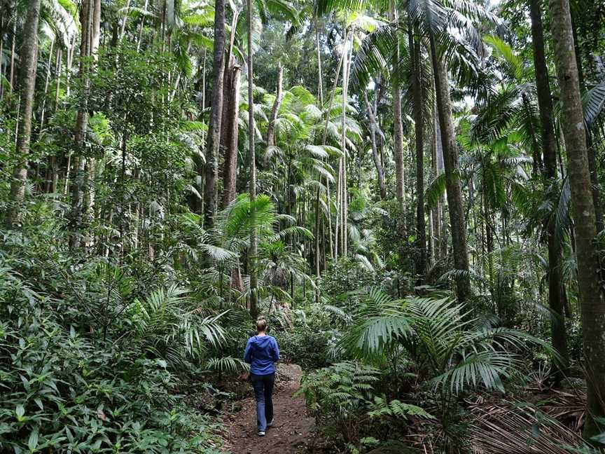 Gold Coast Photography Tours, Coomera, QLD