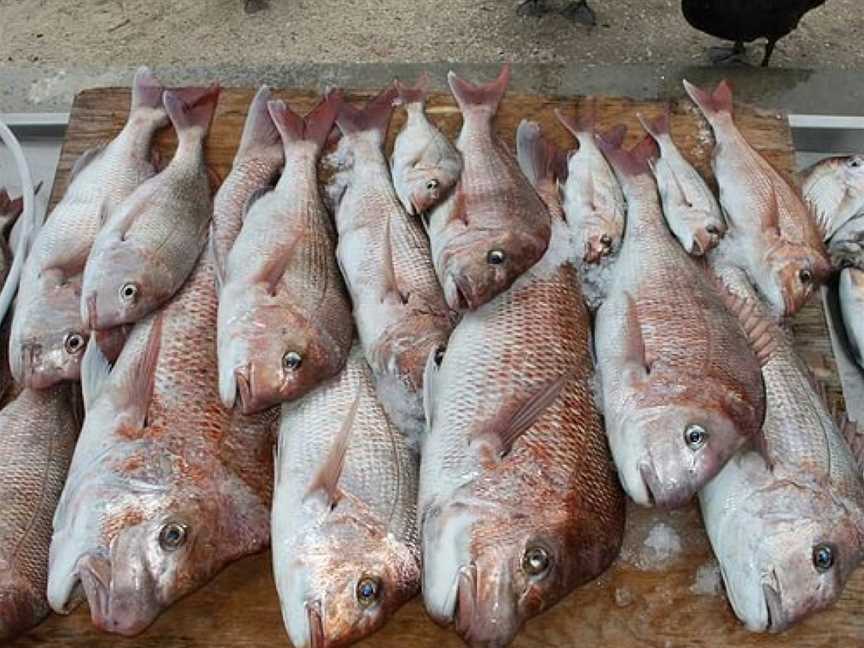 FarOut Charters, Lakes Entrance, VIC