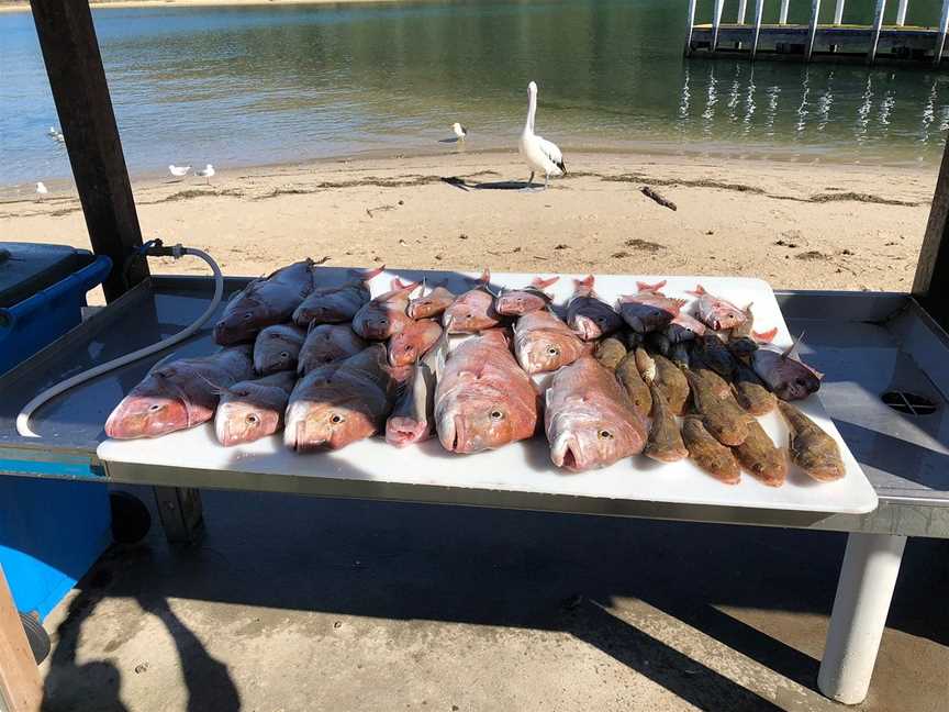 FarOut Charters, Lakes Entrance, VIC