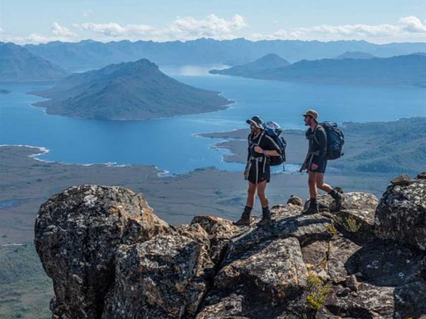 Wild Pedder, Hobart, TAS