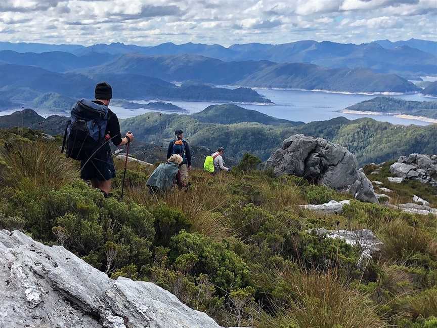 Wild Pedder, Hobart, TAS