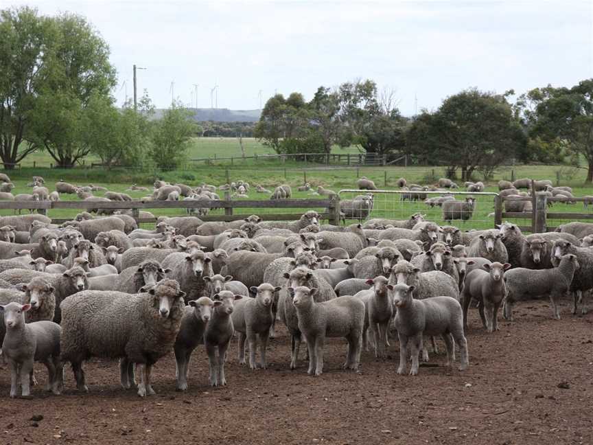 Gippsland Food Adventures - One Day Tours, Tarwin Lower, VIC