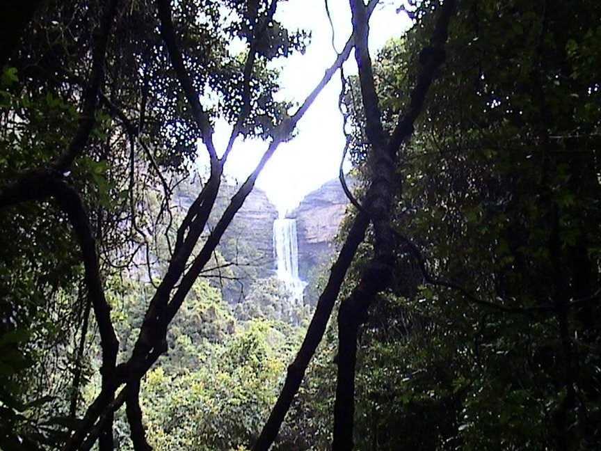 Sydney Wilderness Day Tours, Sydney, NSW