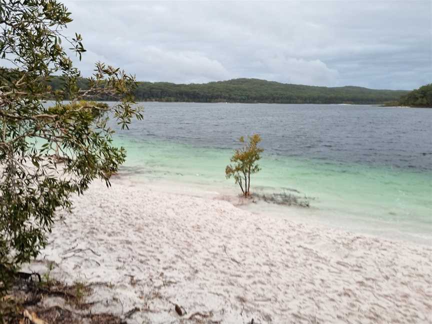 Fraser Discovery Tours, Urangan, QLD