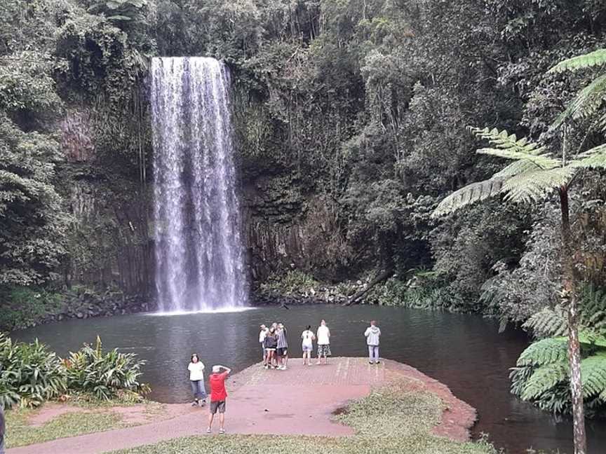 Yungaburra Tours, Yungaburra, QLD