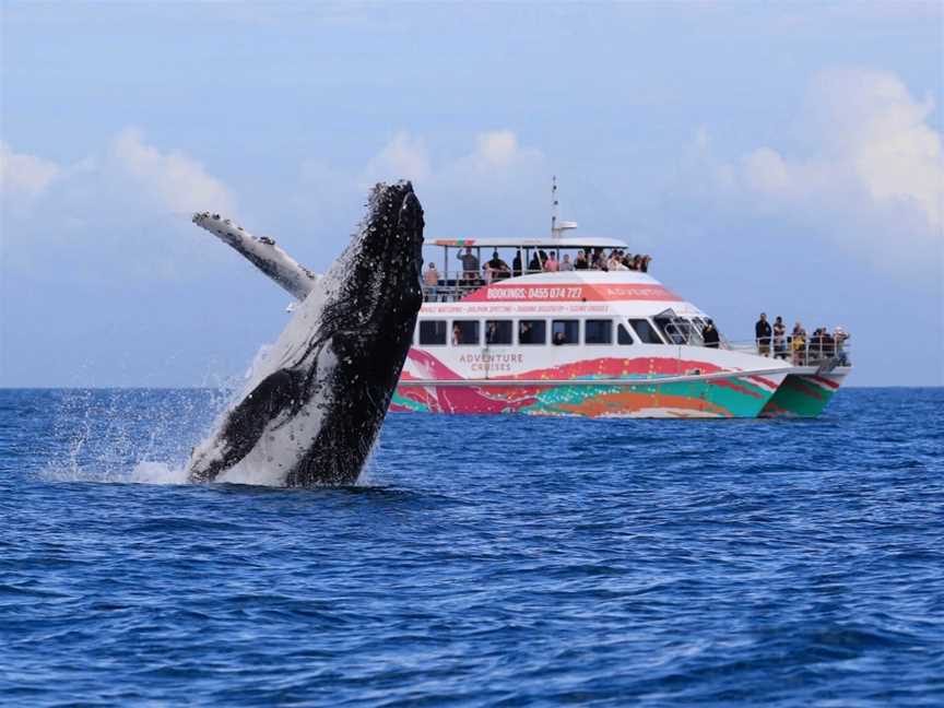 Krystal Klear Boat Tours, Urangan, QLD