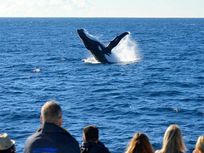 Sydney Adventure Cruises, Sydney, NSW