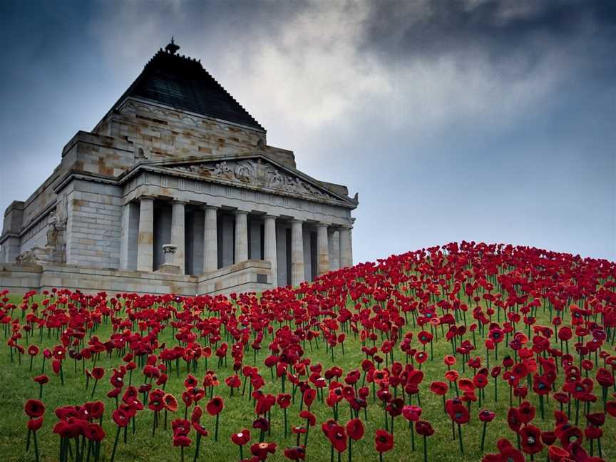 Will Faulkner Photography Tours, Melbourne, VIC