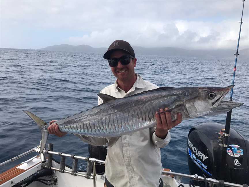 Sea Fever Sportfishing Whitsundays, Airlie Beach, QLD