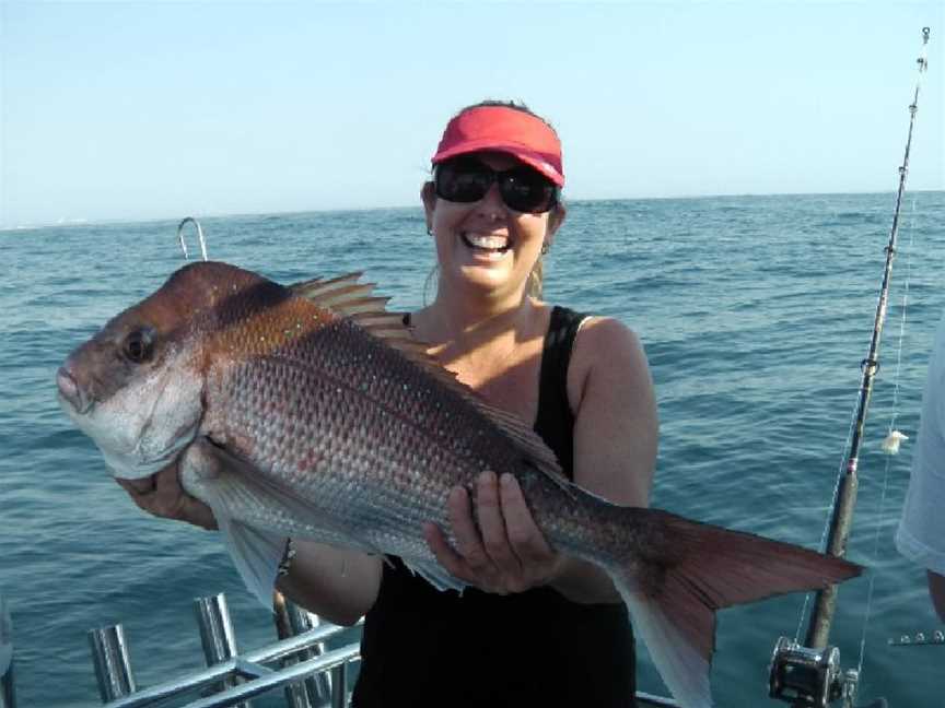 Discovery Fishing Charters, Main Beach, QLD