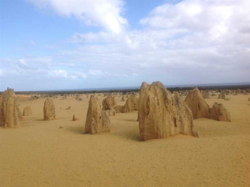 Super Roo Tours - Day Tours, Perth, WA