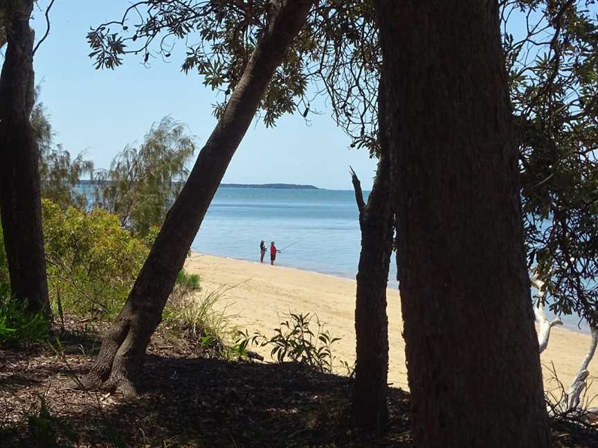 Coochie Guided Island Tours, Coochiemudlo Island, QLD