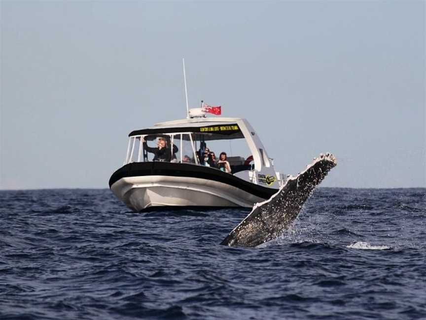 Coastal Express, Mooloolaba, QLD