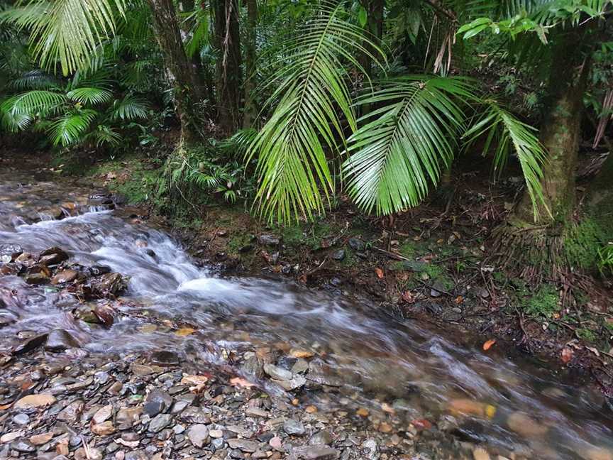 North West Australian Safaris, Cairns City, QLD