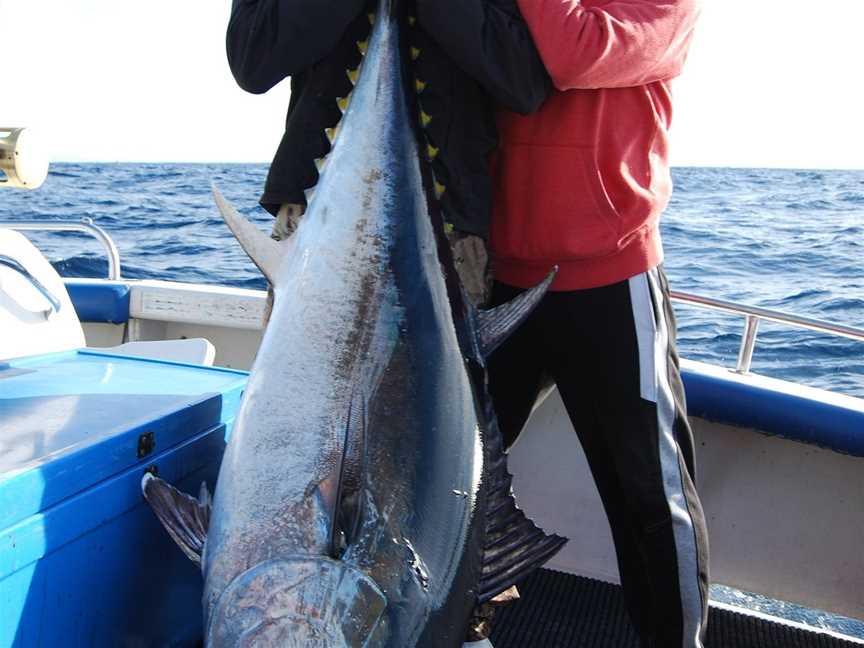 Hot Fishing Charters, Bermagui, NSW