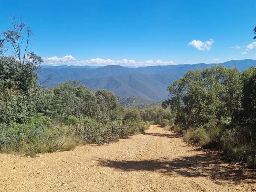 River to Ridge Adventure Tours, Wandiligong, VIC