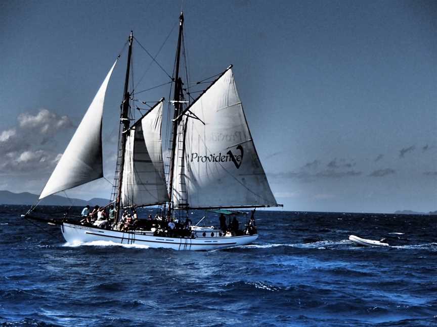 Whitsunday Sailing, Airlie Beach, QLD