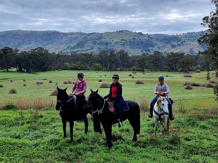 Pack Saddling Australia, Narbethong, VIC