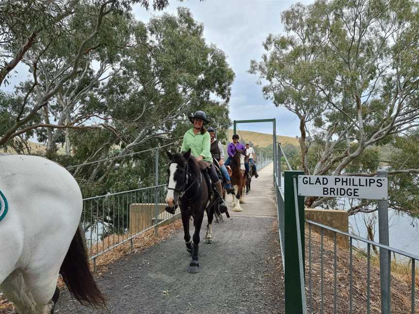 Pack Saddling Australia, Narbethong, VIC