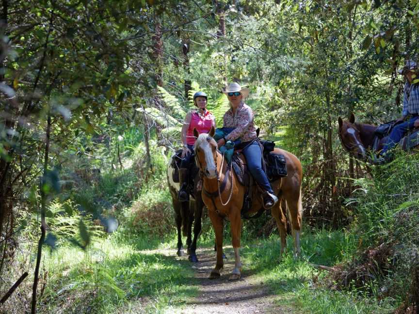 Pack Saddling Australia, Narbethong, VIC