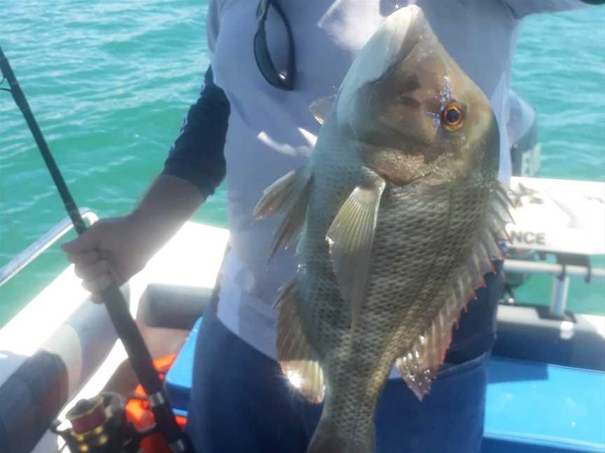 Horseshoe Bay Water Sports Fishing Charters, Magnetic Island, QLD