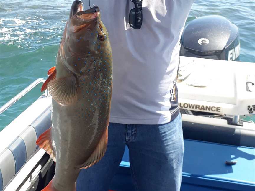 Horseshoe Bay Water Sports Fishing Charters, Magnetic Island, QLD