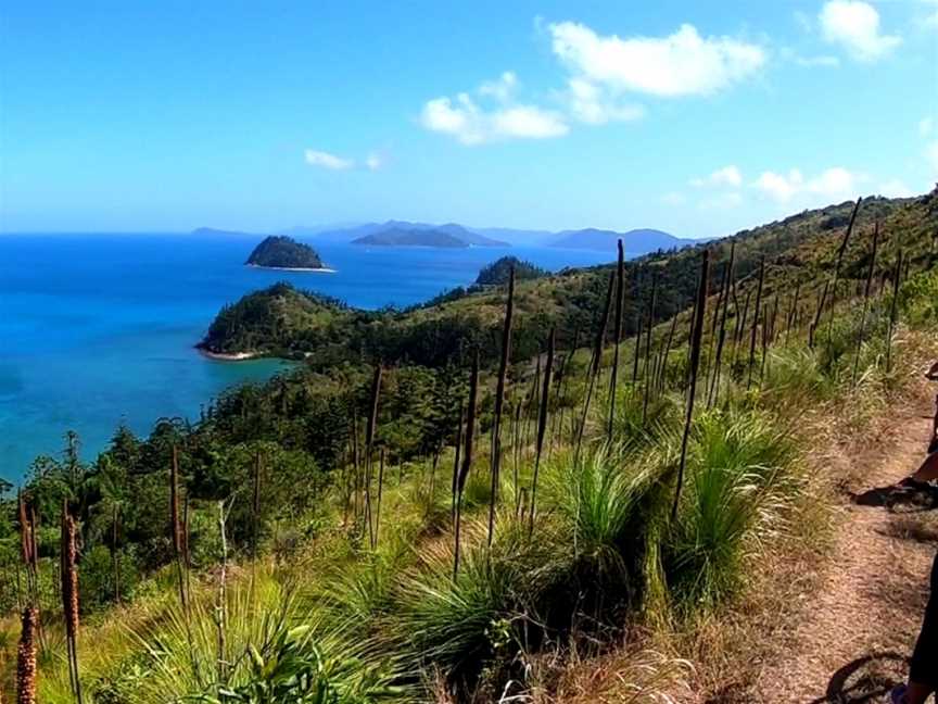 Bike and Hike Whitsunday, Airlie Beach, QLD