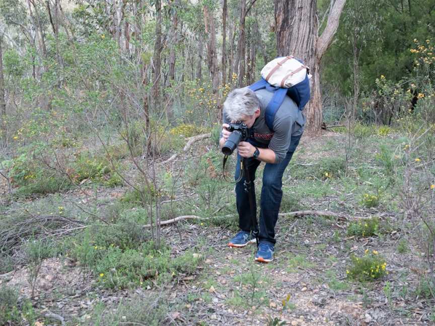 Echidna Ridge Bushland Experience, McLaren Vale, SA