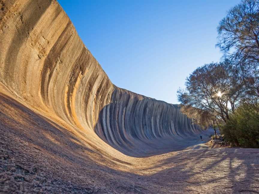 Great Southern Discovery - Day Tours, Albany, WA