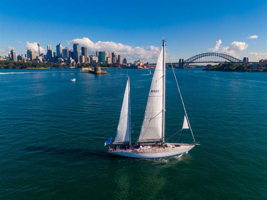 Swanning Around, Sydney, NSW