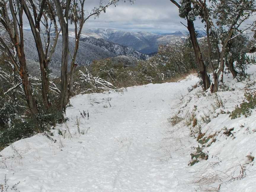 Ducks & Drakes, Mount Buller, VIC