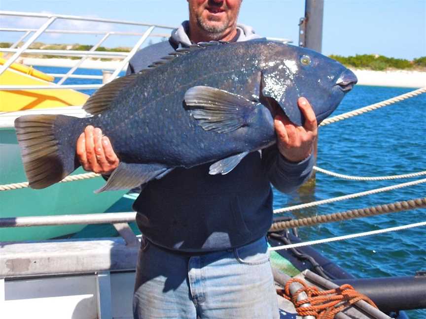 Black Jack Charters, Esperance, WA