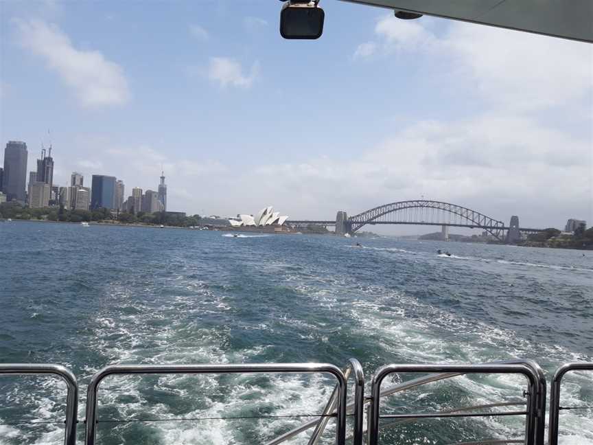 Sydney Famous Seafood Lunch Cruise - Alan Corporation, Sydney, NSW