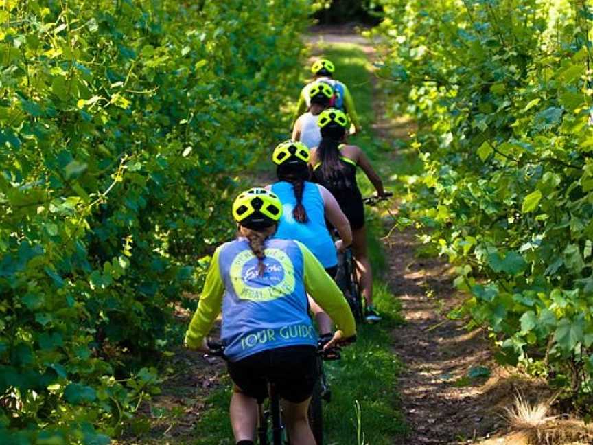 Peninsula Pedal Tours, Red Hill, VIC