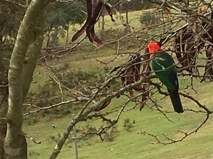 Springmead Farm Tours, Rydal, NSW