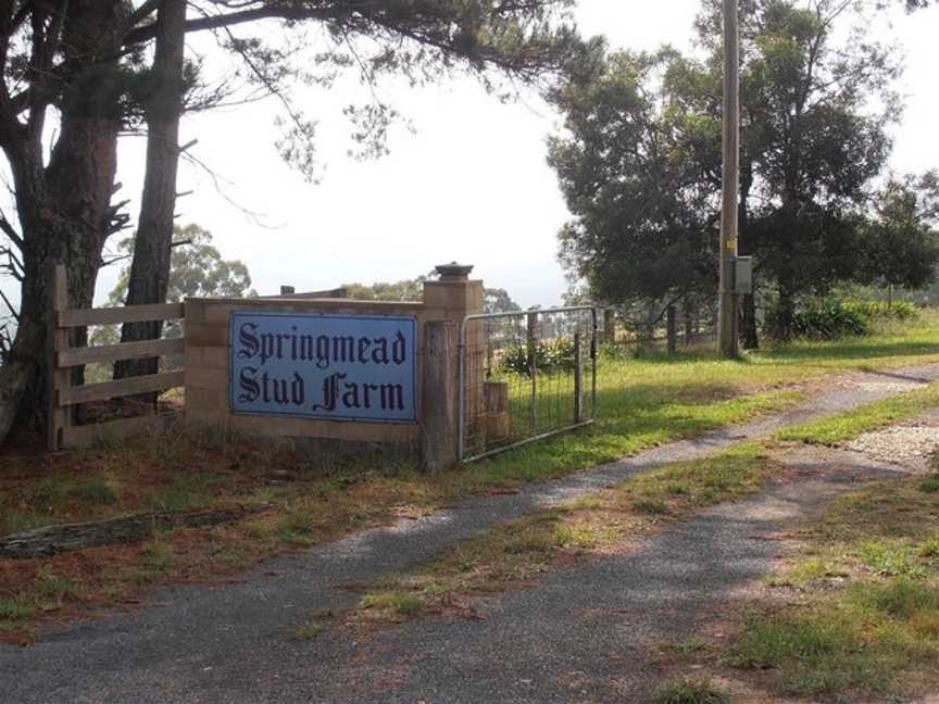 Springmead Farm Tours, Rydal, NSW