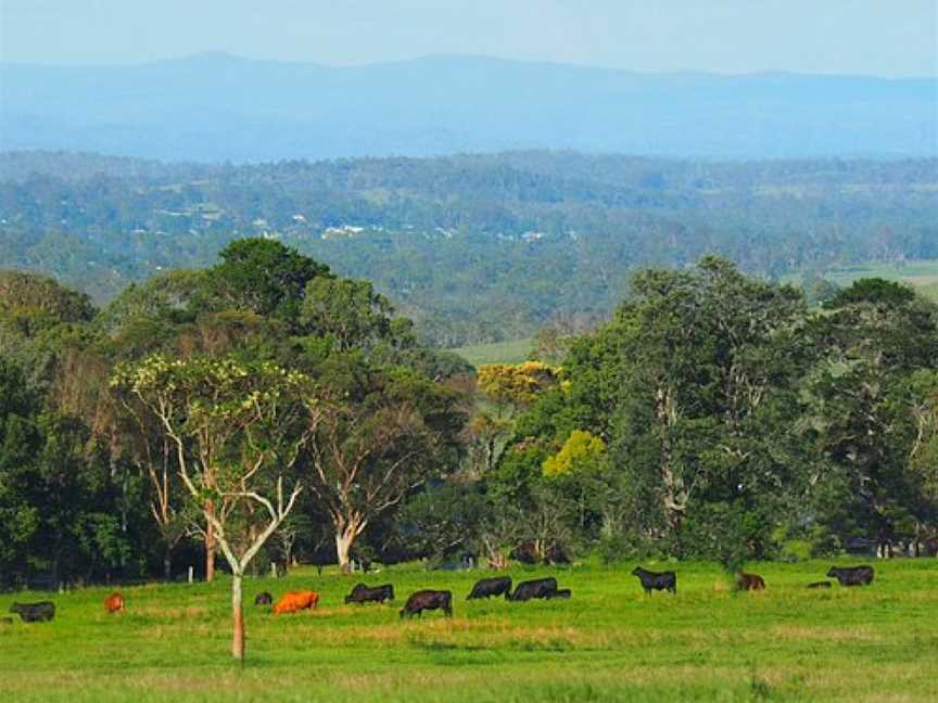 Discover Yarraman, Yarraman, QLD